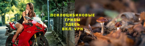 твердый Богородск