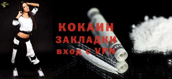 твердый Богородск
