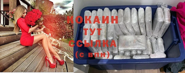 твердый Богородск